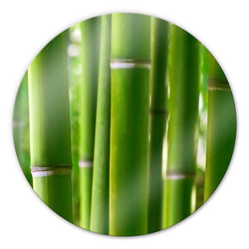 Selva di bambù - tondo
