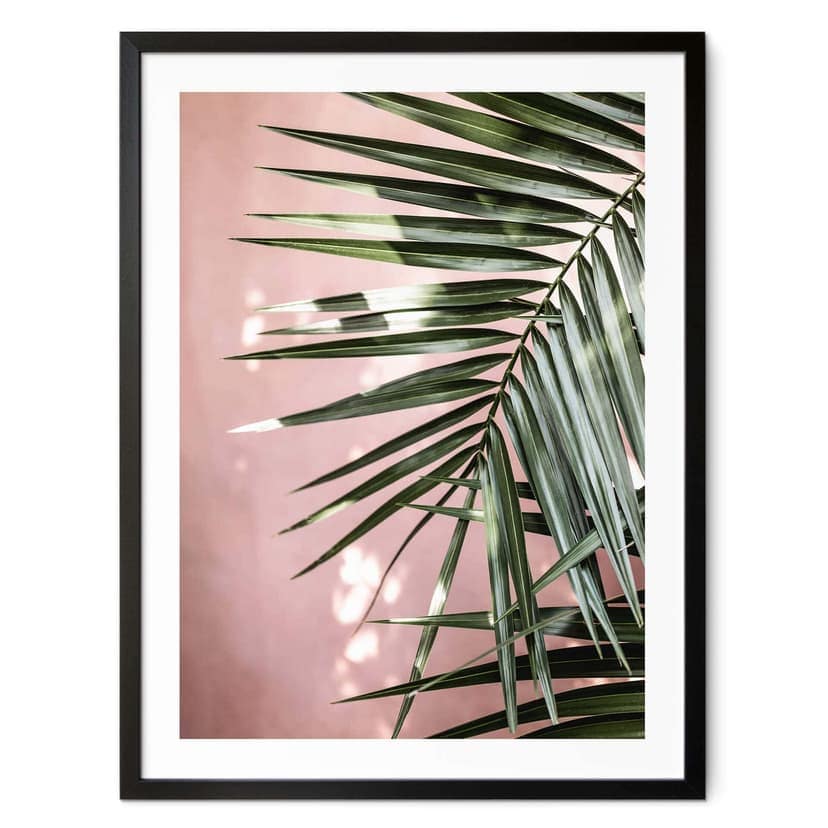 Poster Foglia di palma davanti a un muro rosa - Böhmer