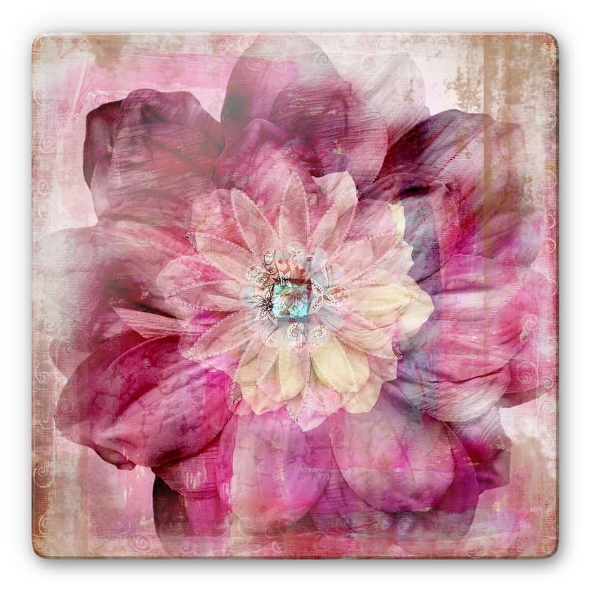Peonia rosa