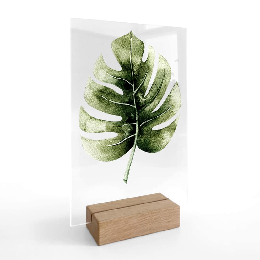 Decoro acrilico + supporto Kvilis Monstera