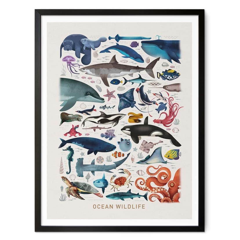 Poster Braun - Ocean Wildlife