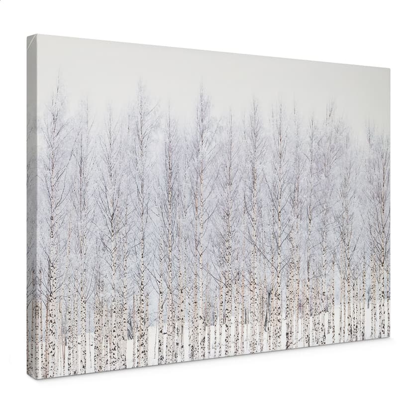 Stampe su tela Bosco di betulle in inverno - EMELIEmaria