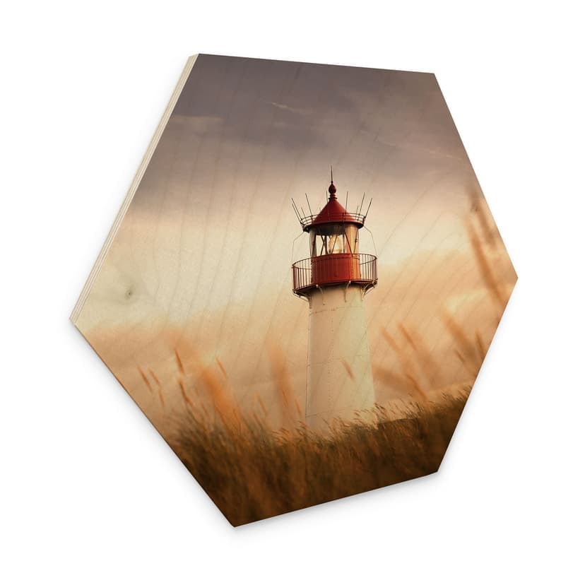 Faro esagonale a stampa su legno sulla costa di Sylt - Eisenmann
