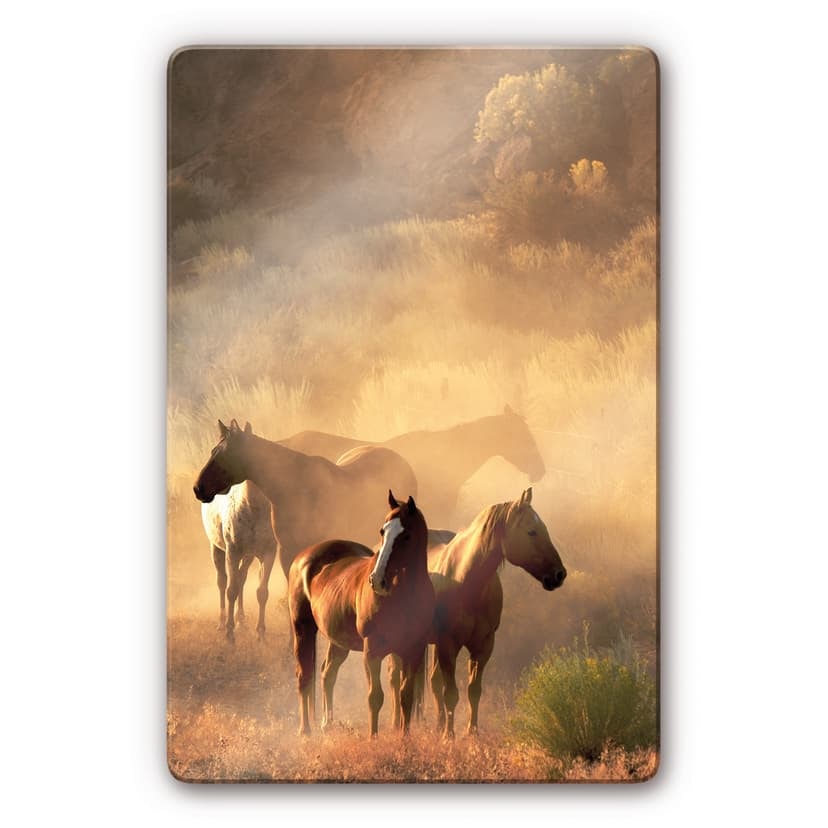 La potenza dei cavalli
