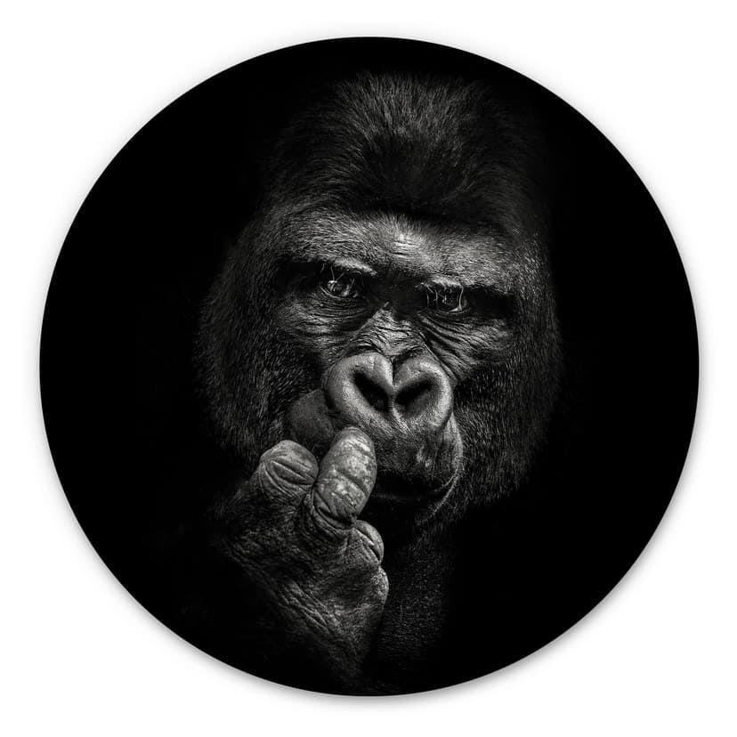Alu-Dibond Meermann - Gorilla - tondo