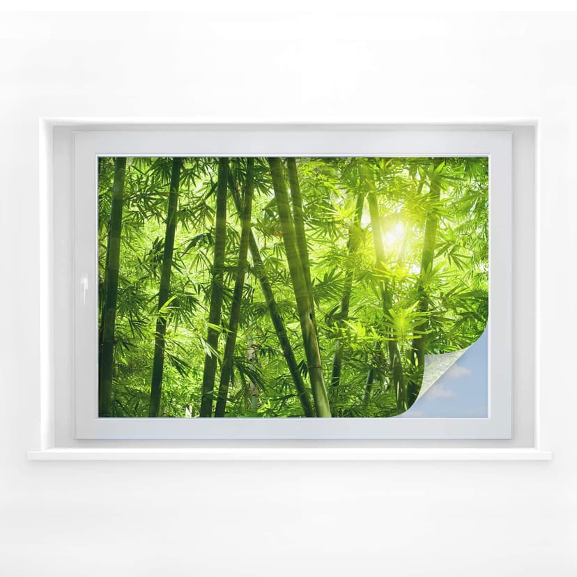 Pellicola adesiva per vetri - la luce del sole nel bosco di bambù