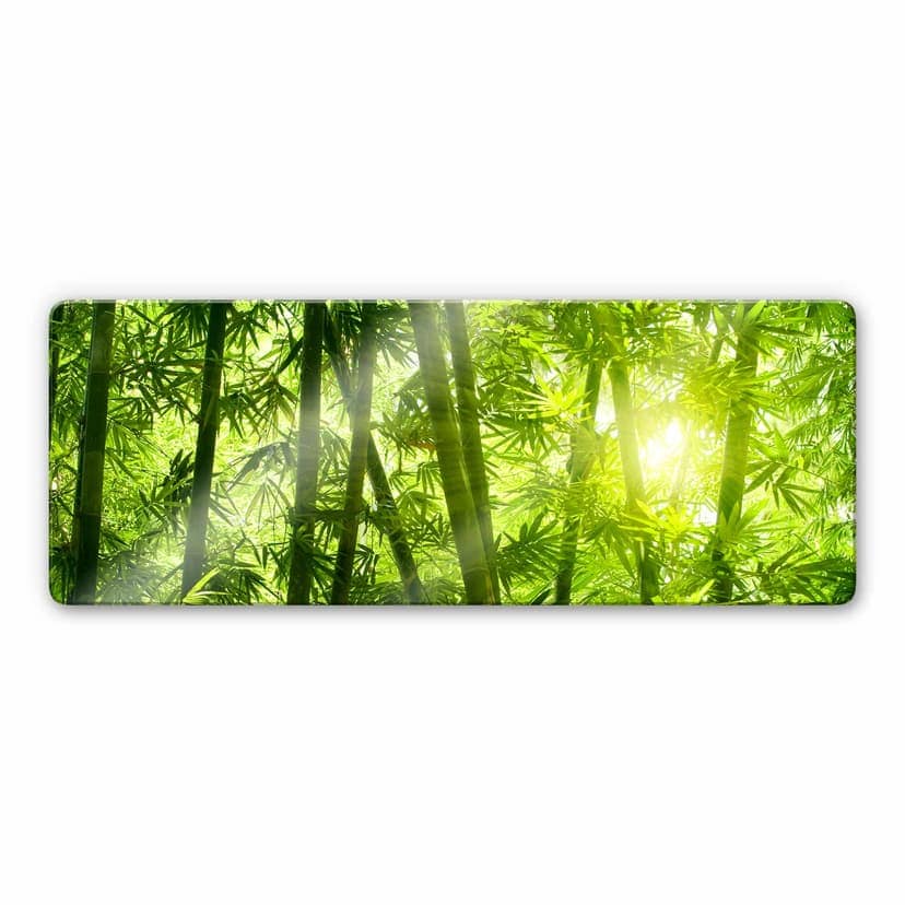 Luce del sole nel bosco di bambù - panoramica