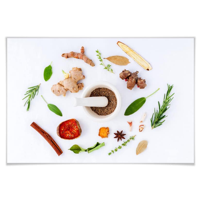 Poster - Erbe aromatiche
