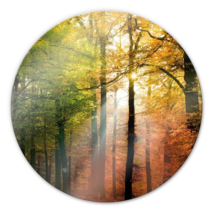 Stampa su vetro - Autunno dorato - tondo