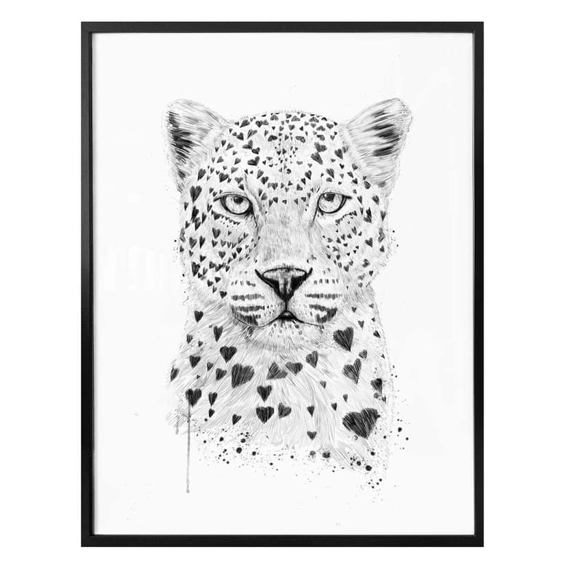 Poster Solti - Leopardo