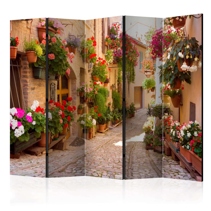 Divisorio - Vicolo di Spello (Italia) , 5 pezzi - 225x172 cm
