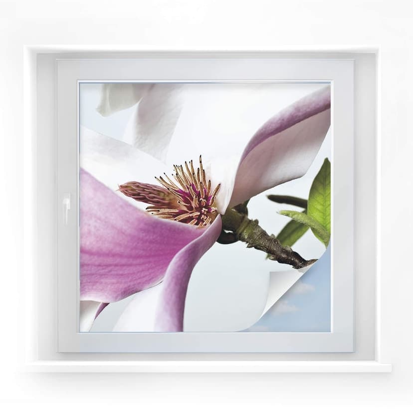 Pellicola adesiva per vetri - magnolia (quadrato)