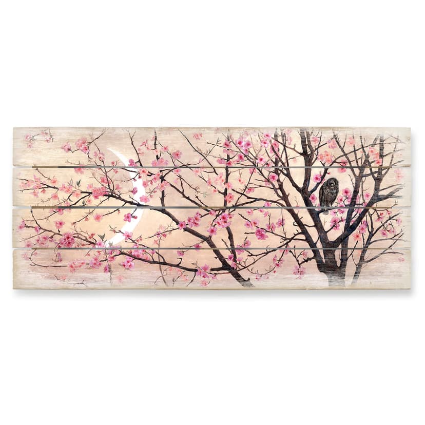 Coleman - Primavera - panoramica