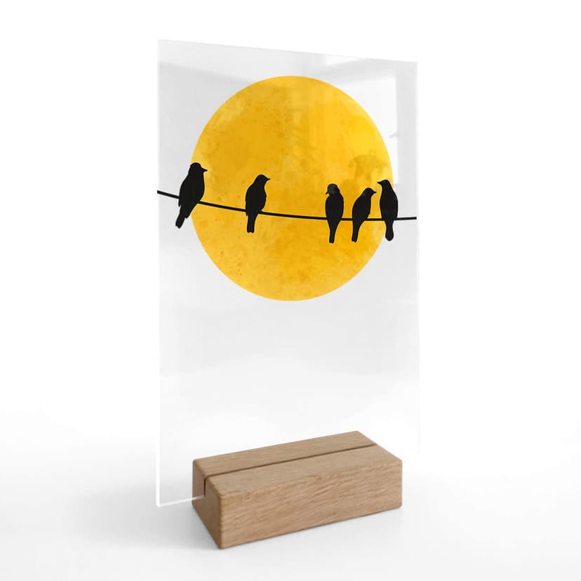 Decoro acrilico + supporto Uccellini