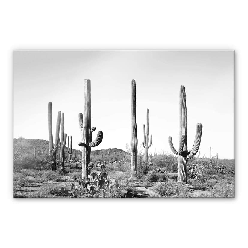 Stampa su vetro acrilico Sisi & Seb - Cactus