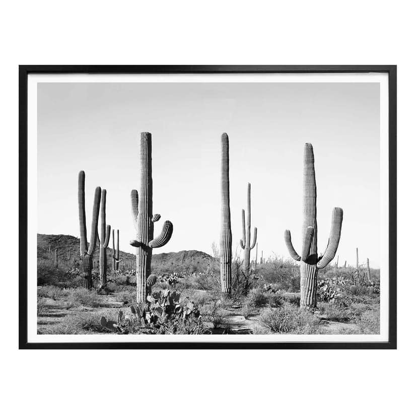 Poster Sisi & Seb - Cactus