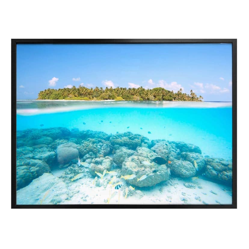 Poster Colombo - Il mondo sottomarino - Maldive