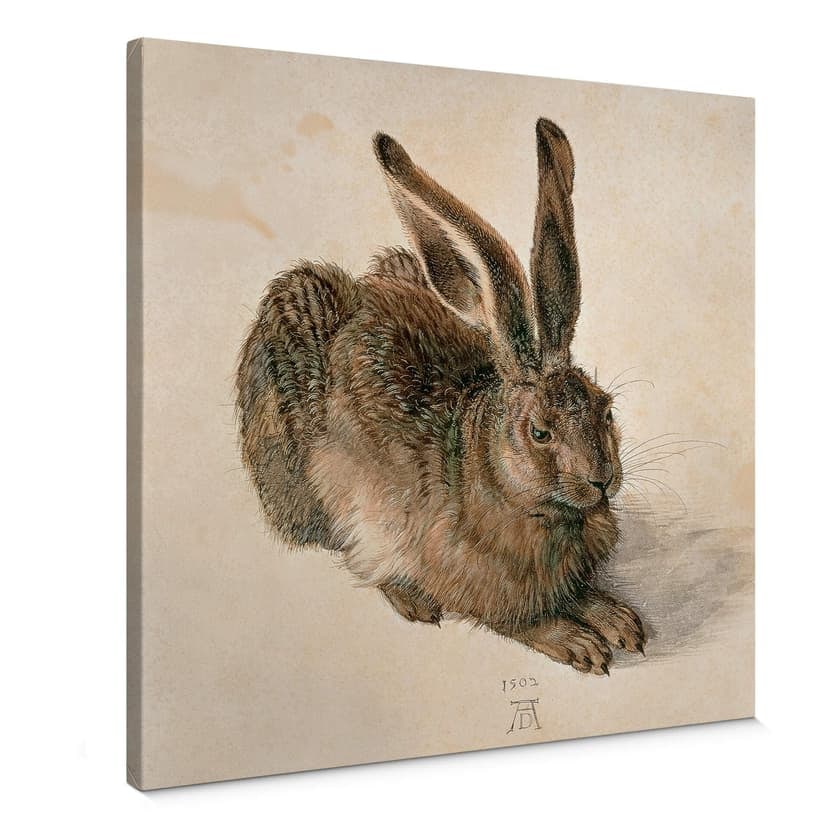 Dürer - Giovane lepre