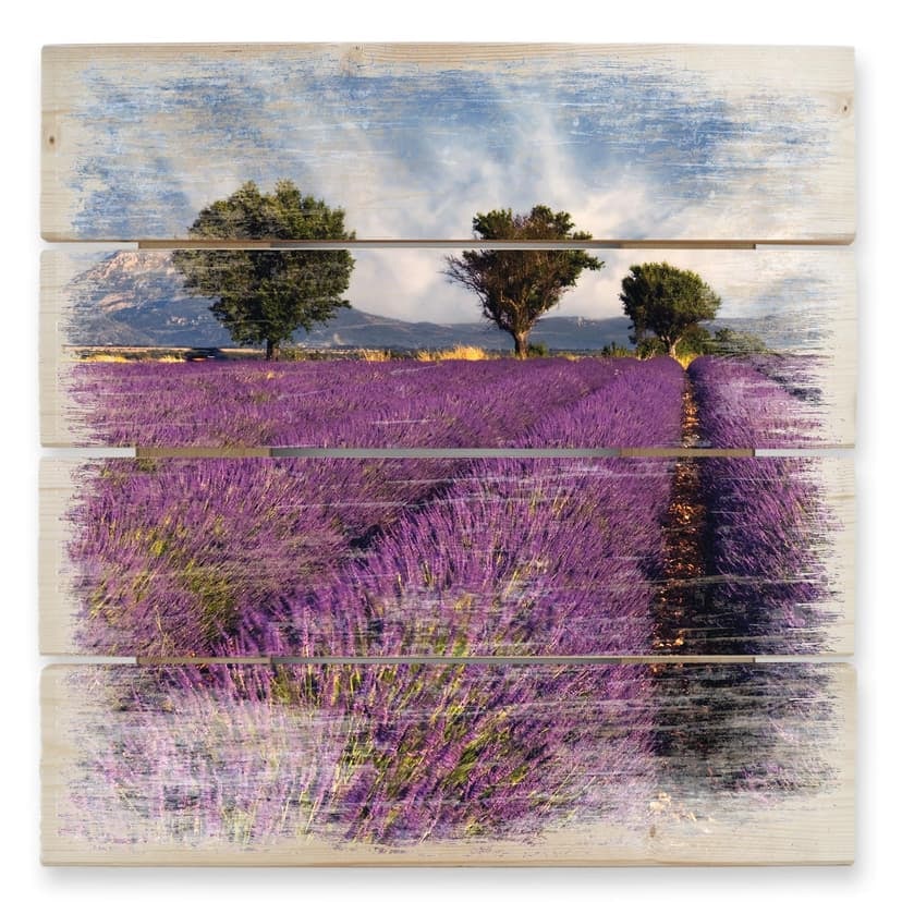 Stampa su legno - Campo di lavanda