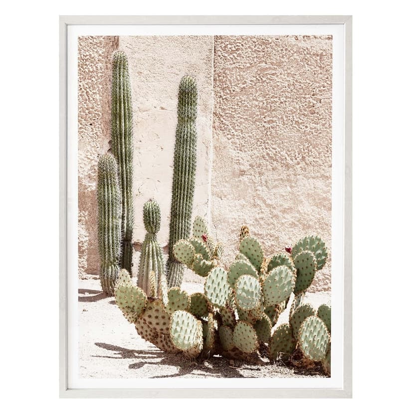 Poster Hugonnard - Cactus