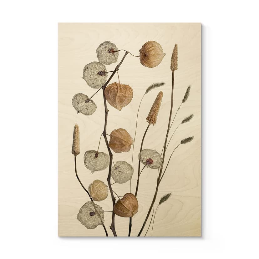 Stampa su legno Fiori di lanterna essiccati - Disher