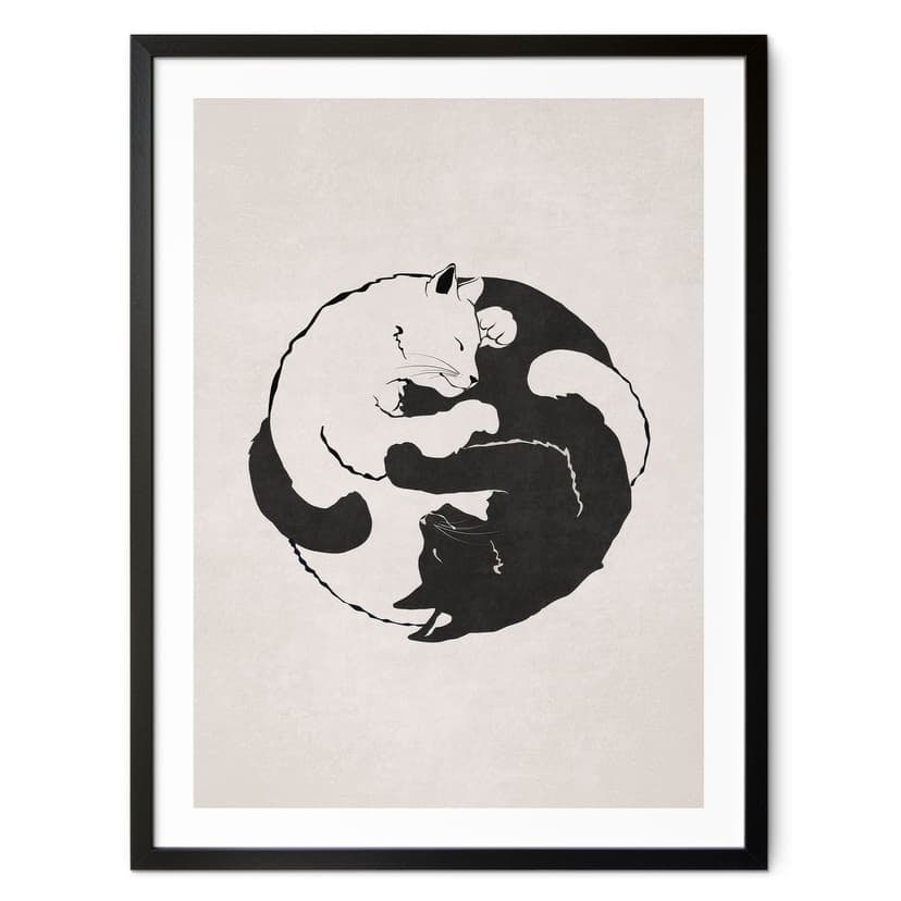 Poster Gatti Ying & Yang - Tunaboylu