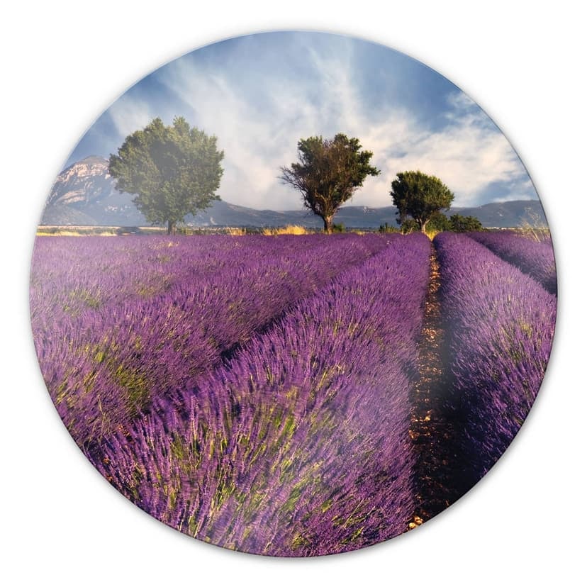 Stampa su vetro - Campo di lavanda - tondo