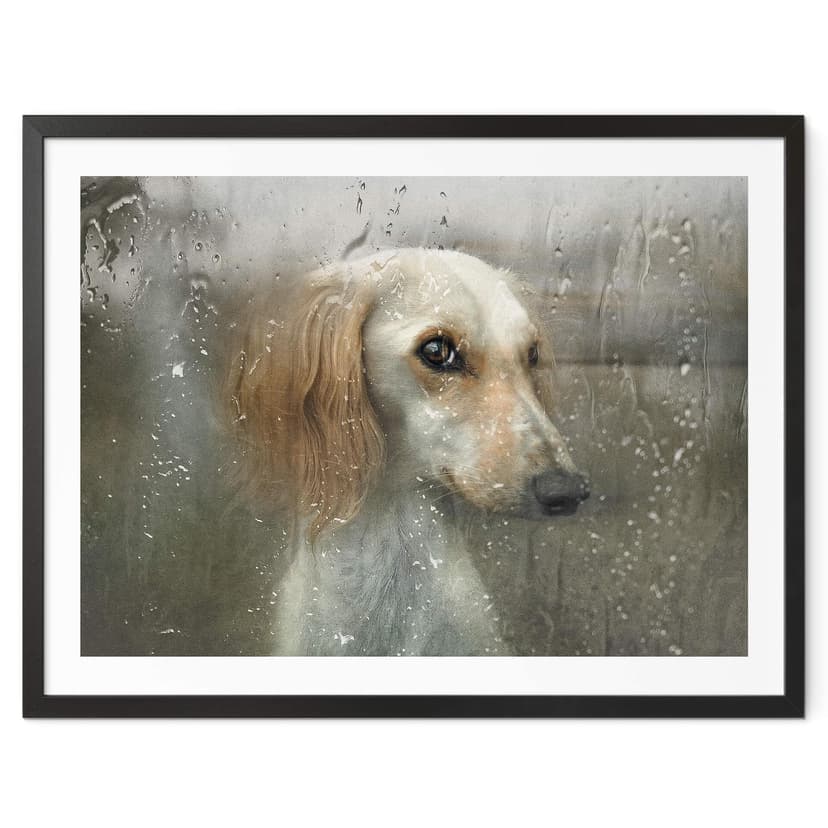 Poster Melik-Nubarova - Faithful Friend