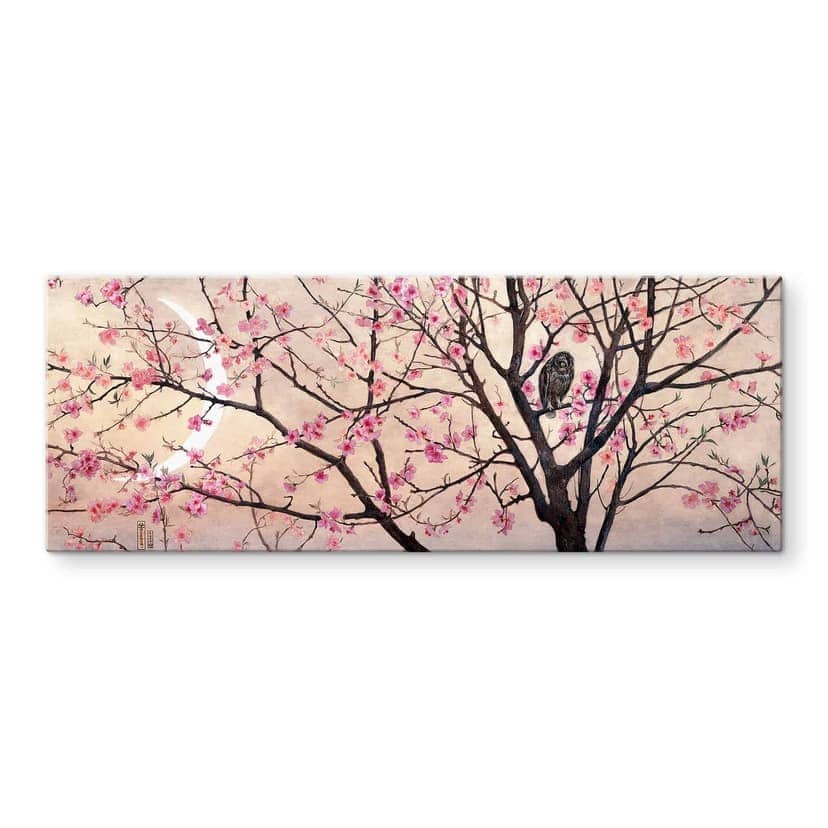Coleman - Primavera - panoramica