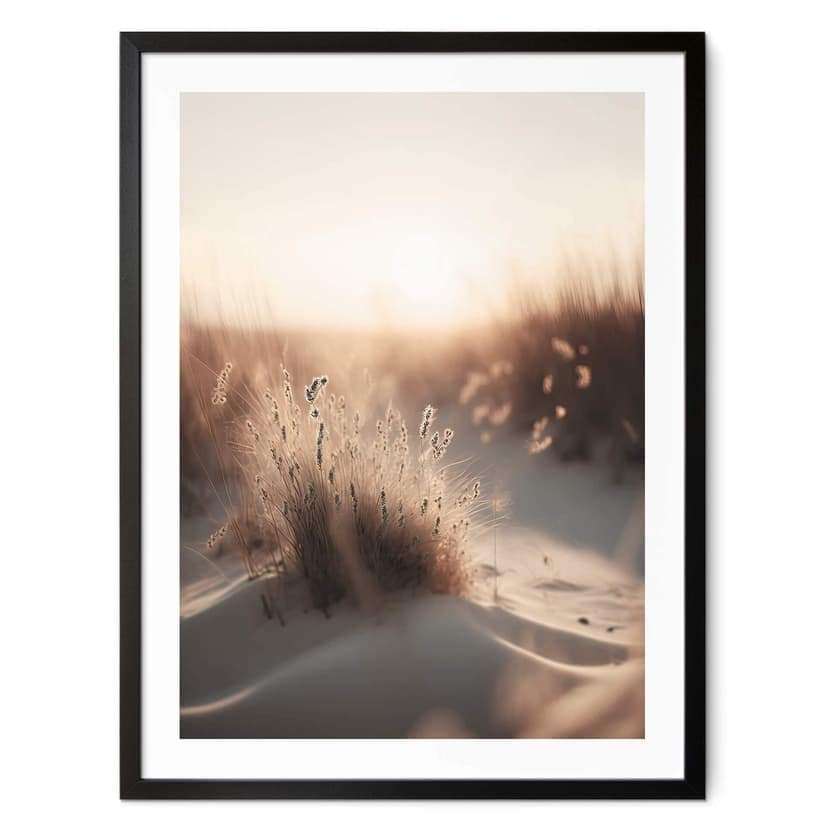 Poster Treechild - Tramonto sulle dune