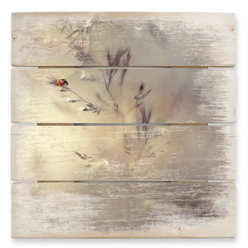 Stampa su legno Westum - Coccinella