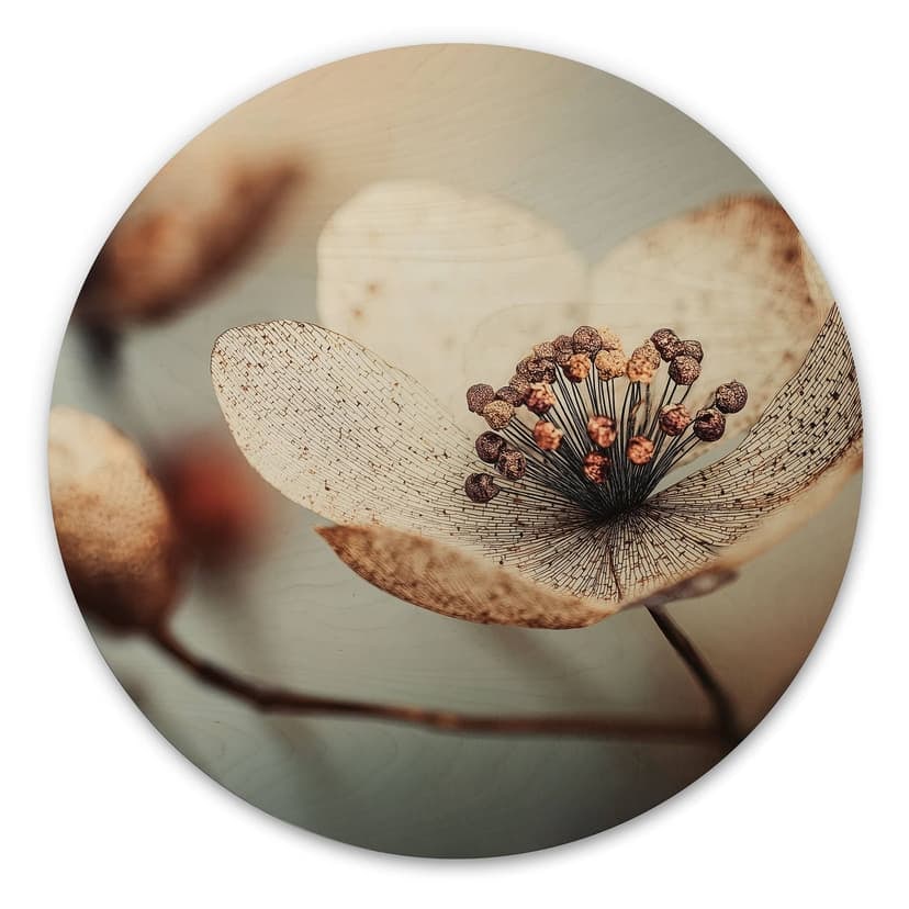 Stampa su legno macro di fiori secchi Boho - Treechild - Rotondo