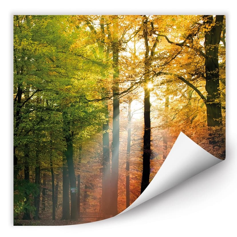 Wallprint - Autunno