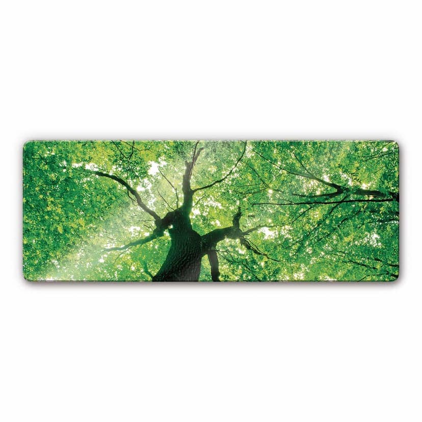 Stampa su vetro - Sotto gli alberi - panoramica