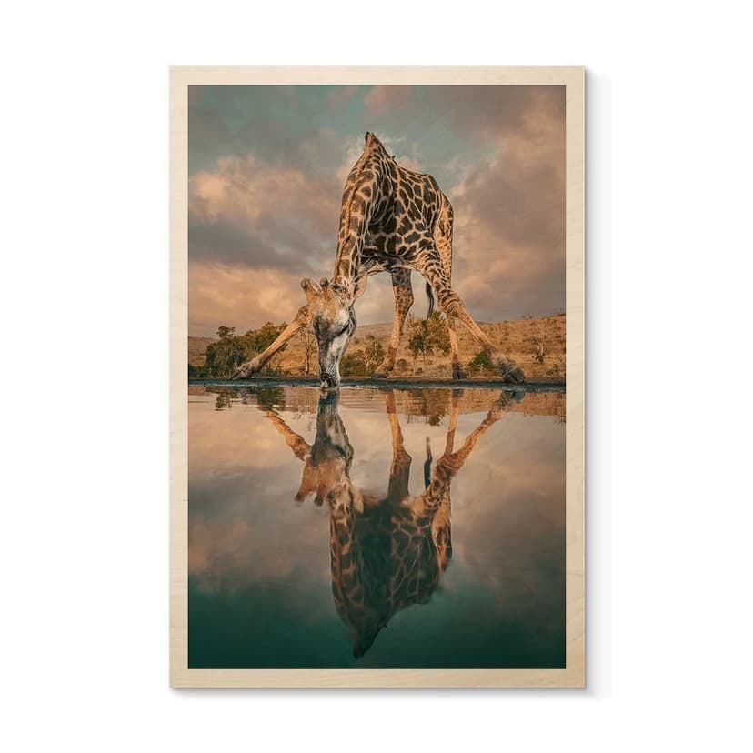 Quadro in legno con riflesso di una giraffa nella natura - Amtmann