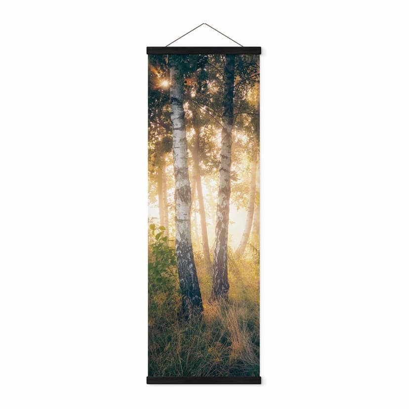 Stampe su tessuto Sole in una foresta di betulle - Kado - Panorama