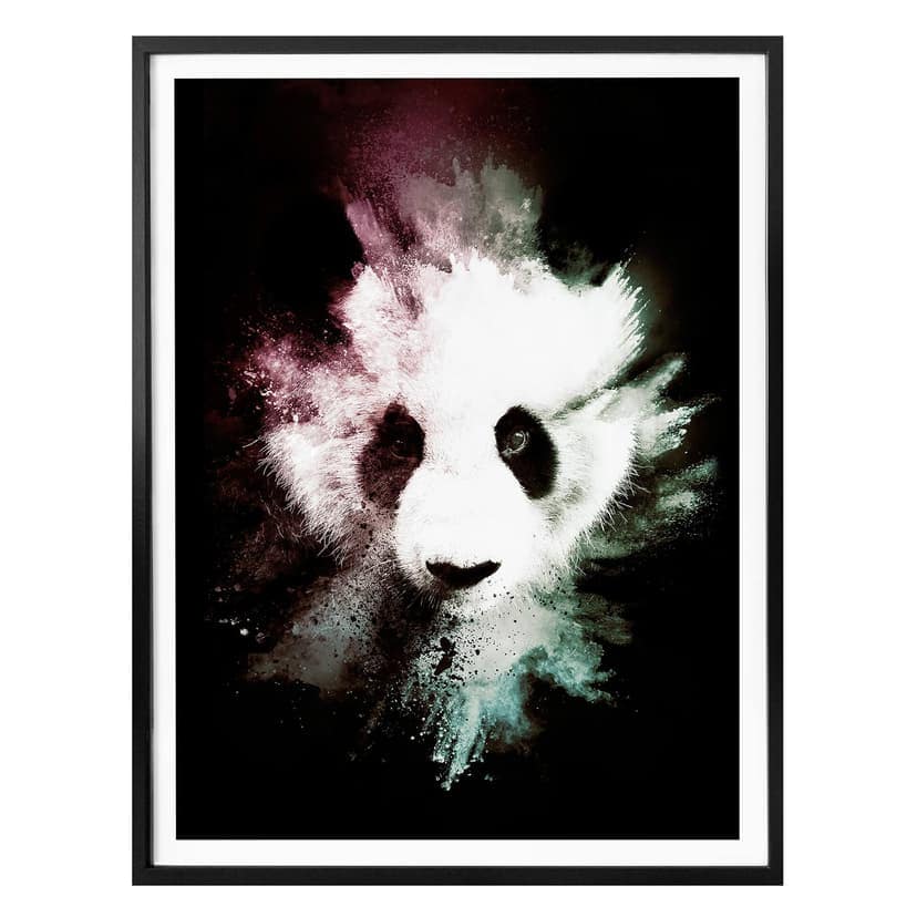 Poster Hugonnard –Wild Explosion: Panda