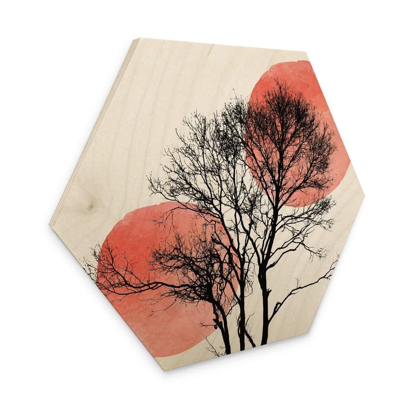 Esagoni legno Kubistika - Sole e luna