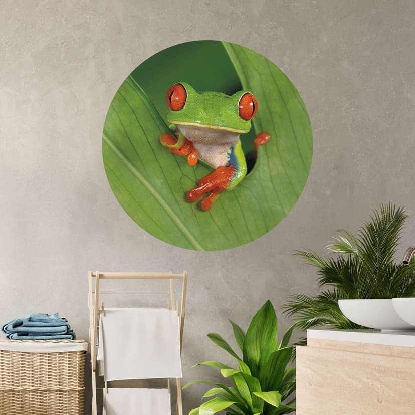 Adesivo murale con rana nella foresta pluviale - van Duijn - Rotondo