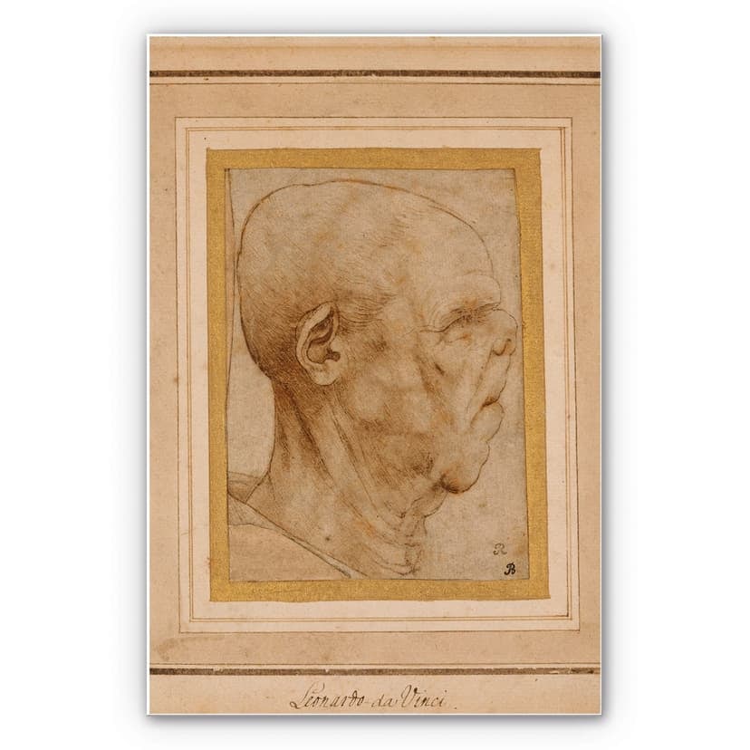 Stampa su Forex Da Vinci - Caricatura di una testa maschile