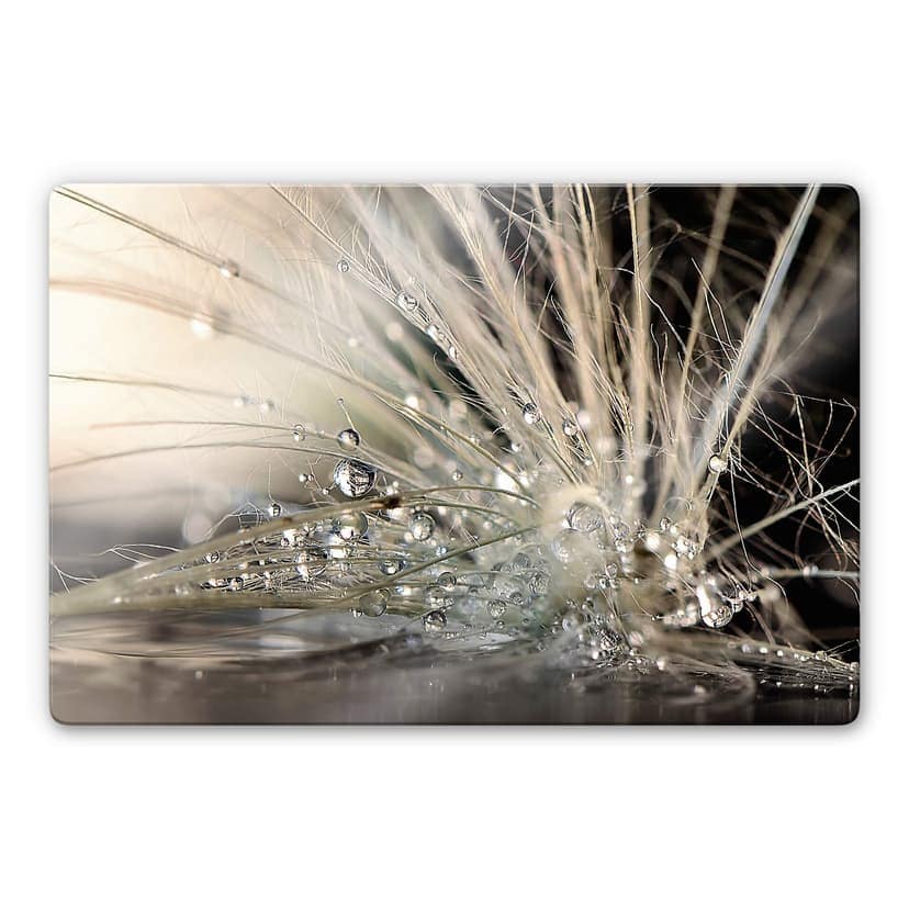 Glasbild Zahirimehr - Story of a Waterdrop - Wasse