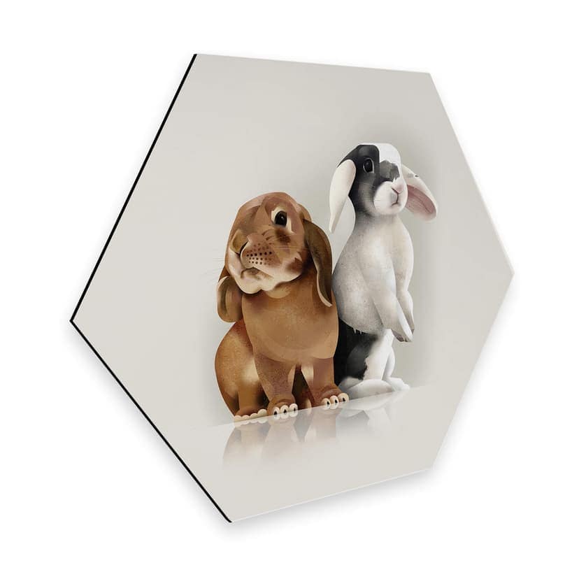 Esagoni Alu-Dibond Braun - Bunny Love