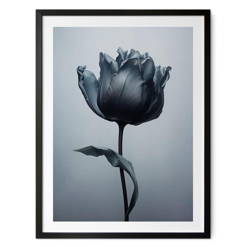 Poster Tulipano vellutato in nero - Paksoylu