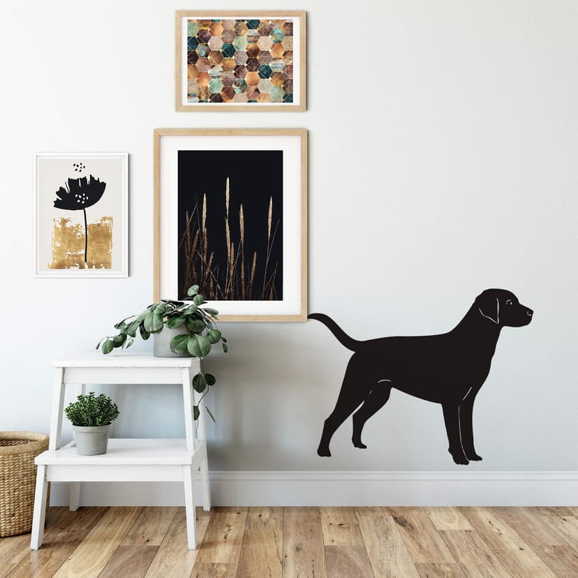 Labrador