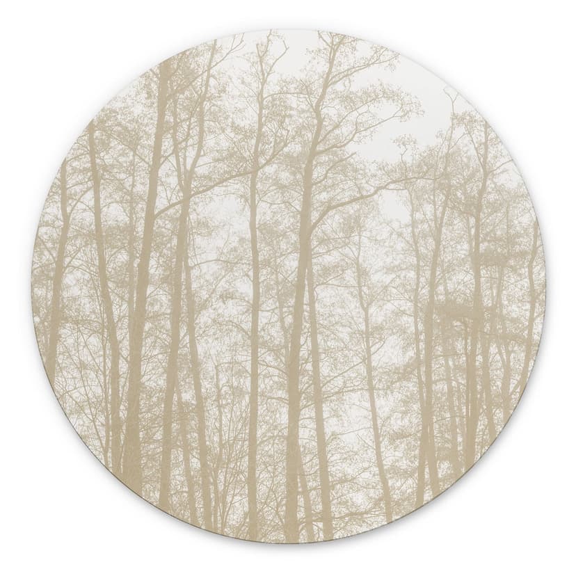 Stampe per pareti Silent Winter Forest - Böhmer - Alu-Dibond Round