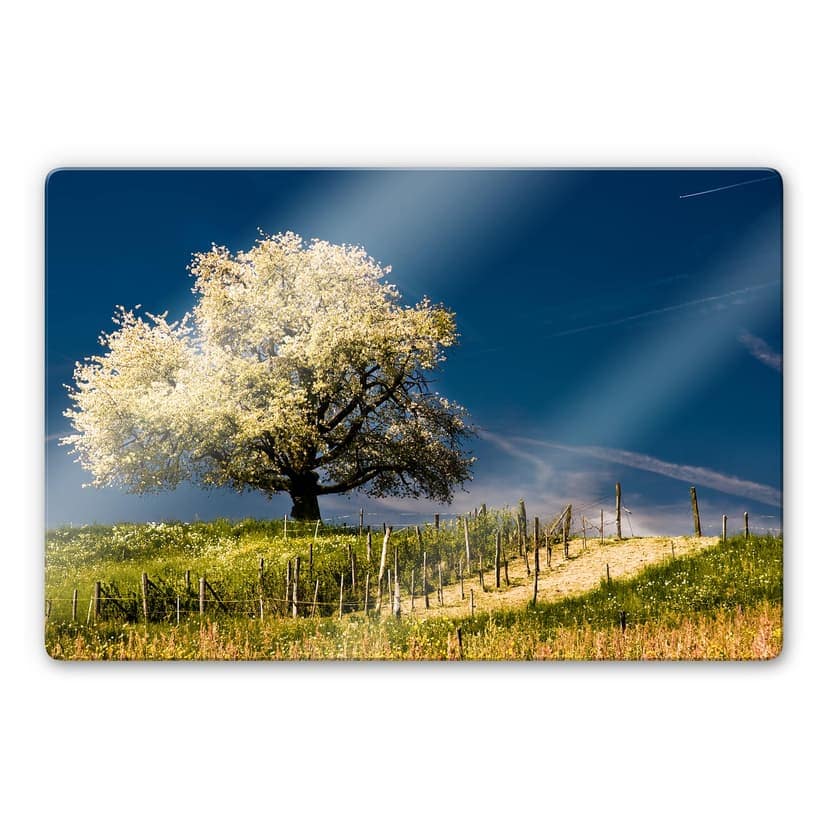 Splendore floreale in aprile