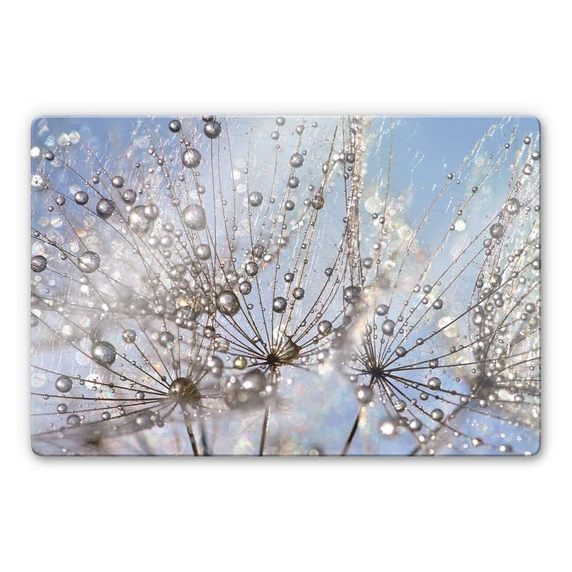 Glasbild Delgado - Wassertropfen in der Pusteblume