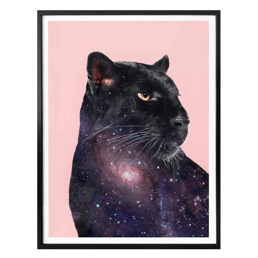 Poster Loose – Galaxy Panther