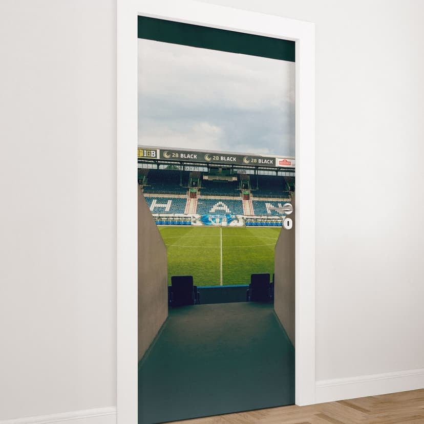 Filmato della porta dello stadio FC Hansa Rostock