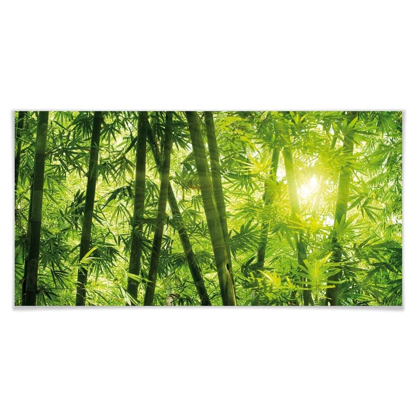 Poster - Luce solare nel bosco di bambù - panoramica